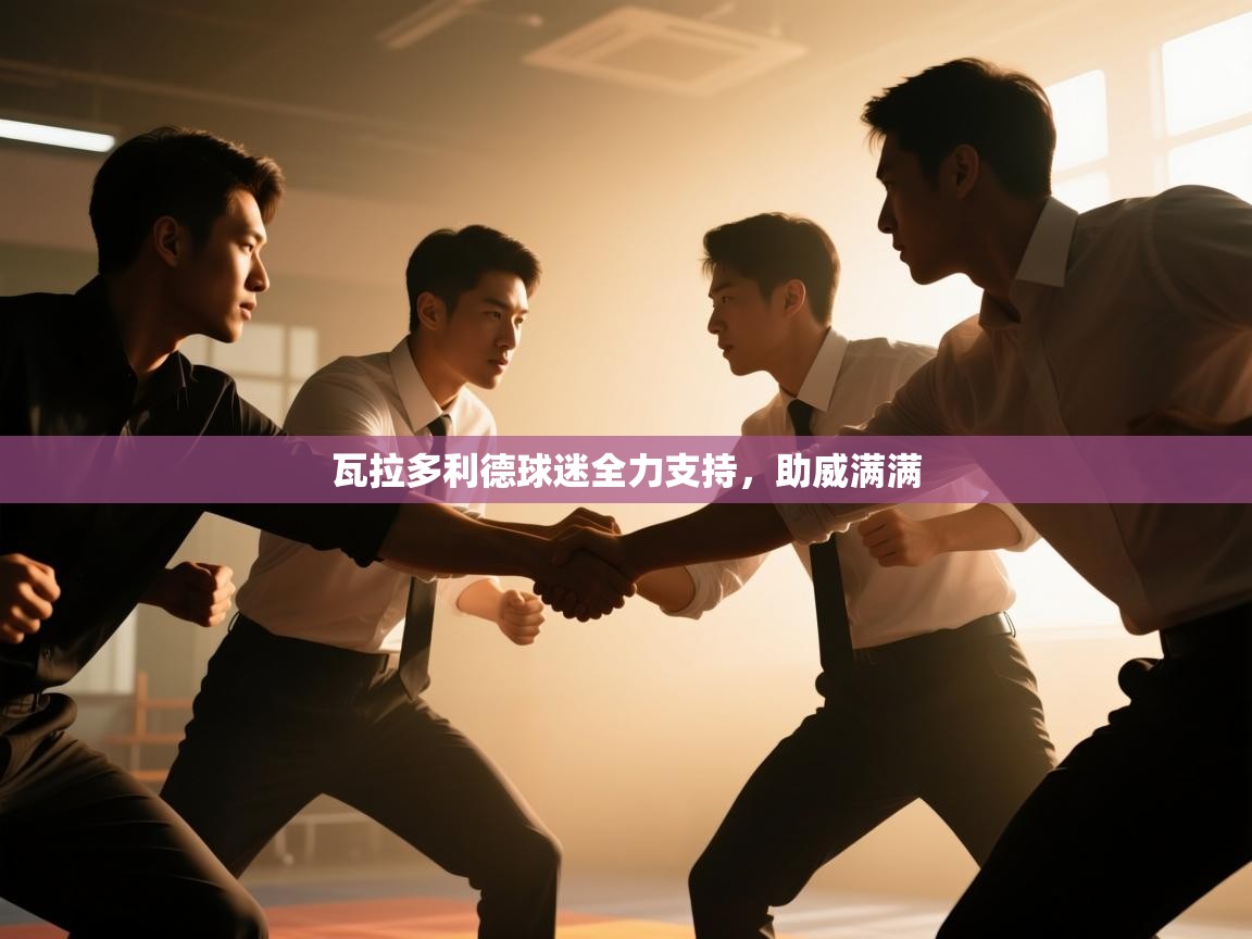 瓦拉多利德球迷全力支持，助威满满  第1张