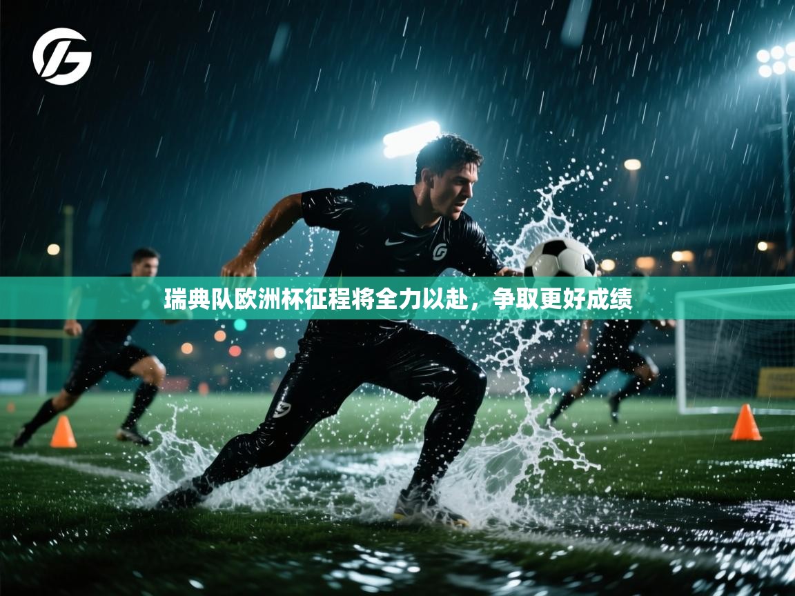 瑞典队欧洲杯征程将全力以赴，争取更好成绩  第1张